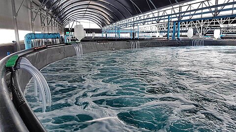 水槽