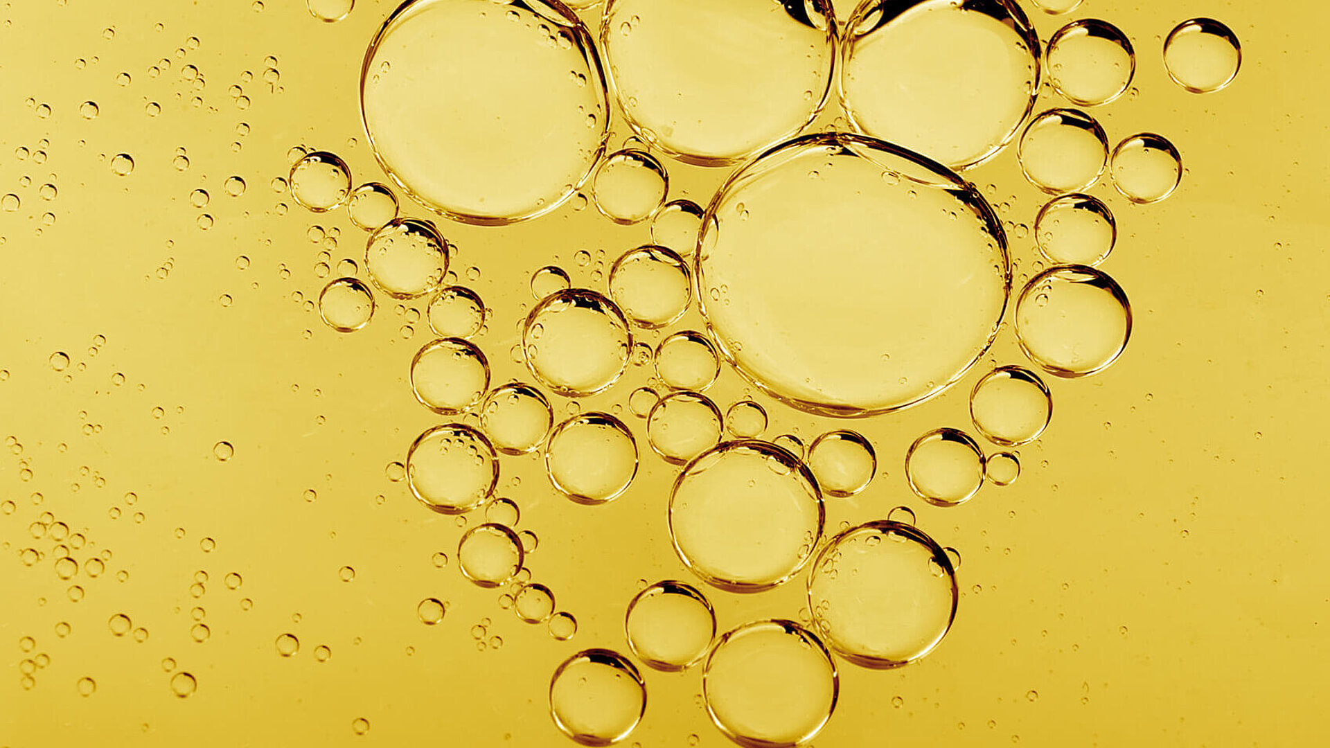 Oil