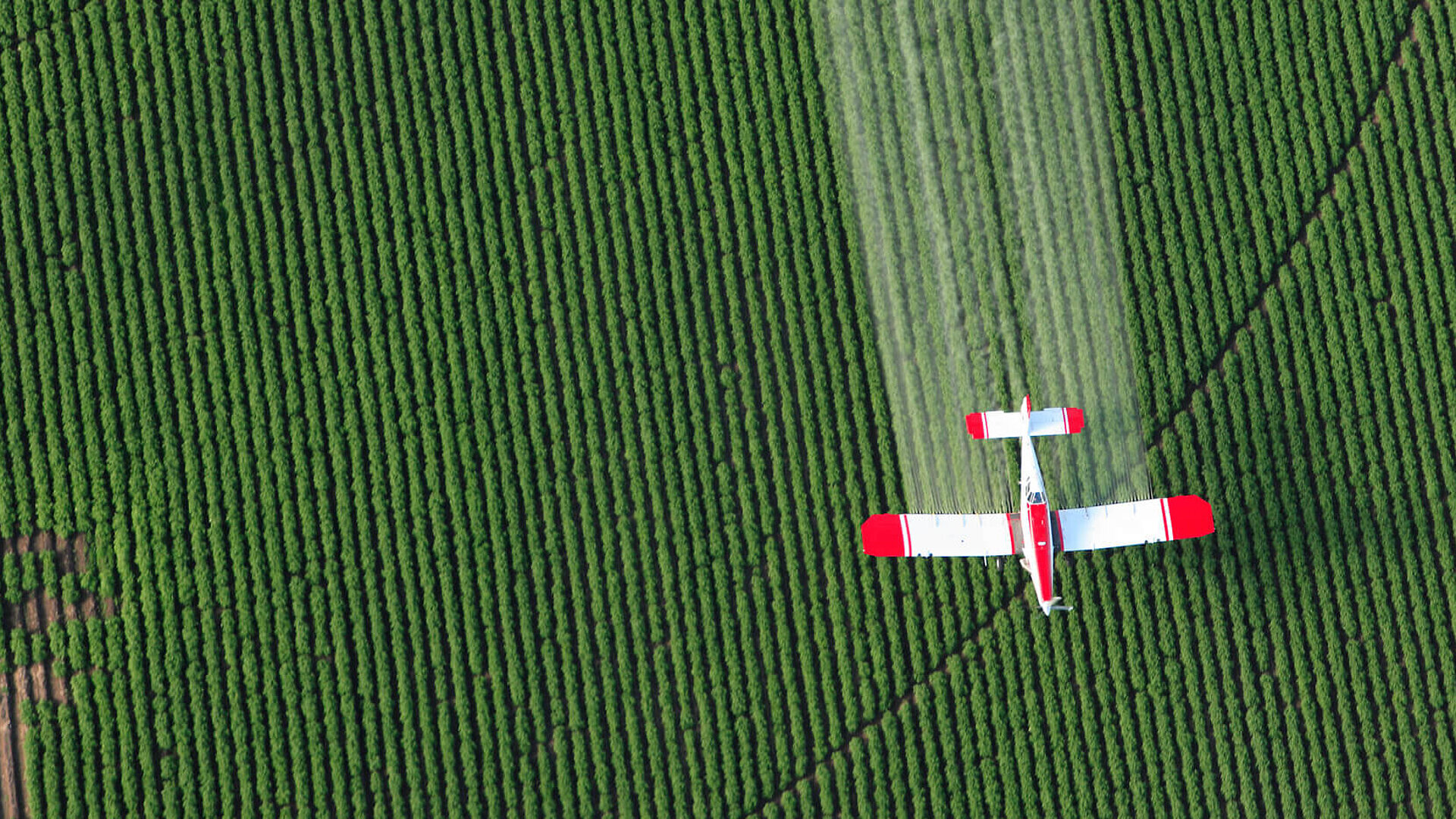 Crop dusting