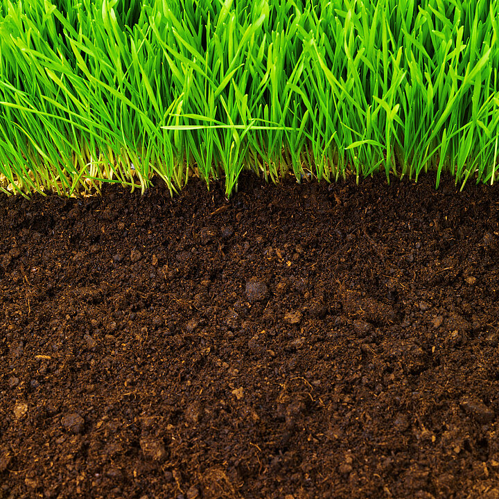 Soil profile
