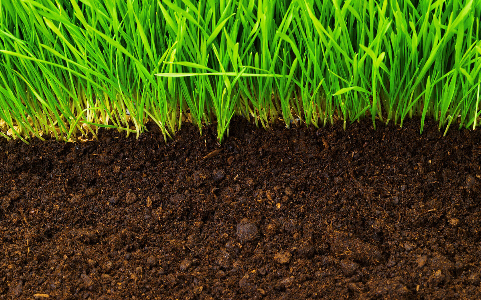 Soil profile