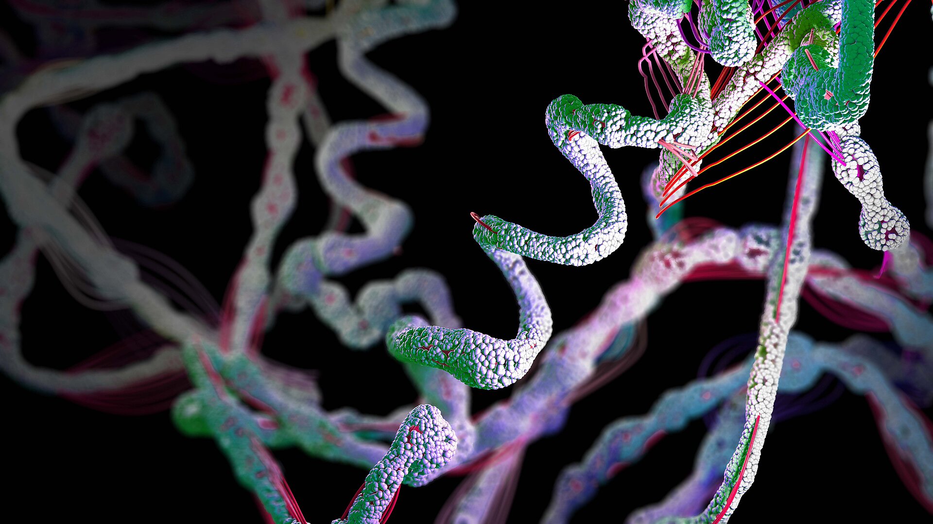 Peptide structures in front of a black background