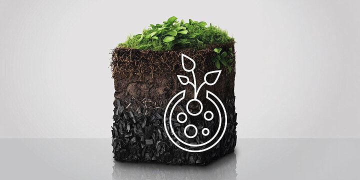 Soil profile with biochar layer