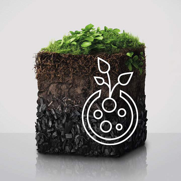 Soil profile with biochar layer