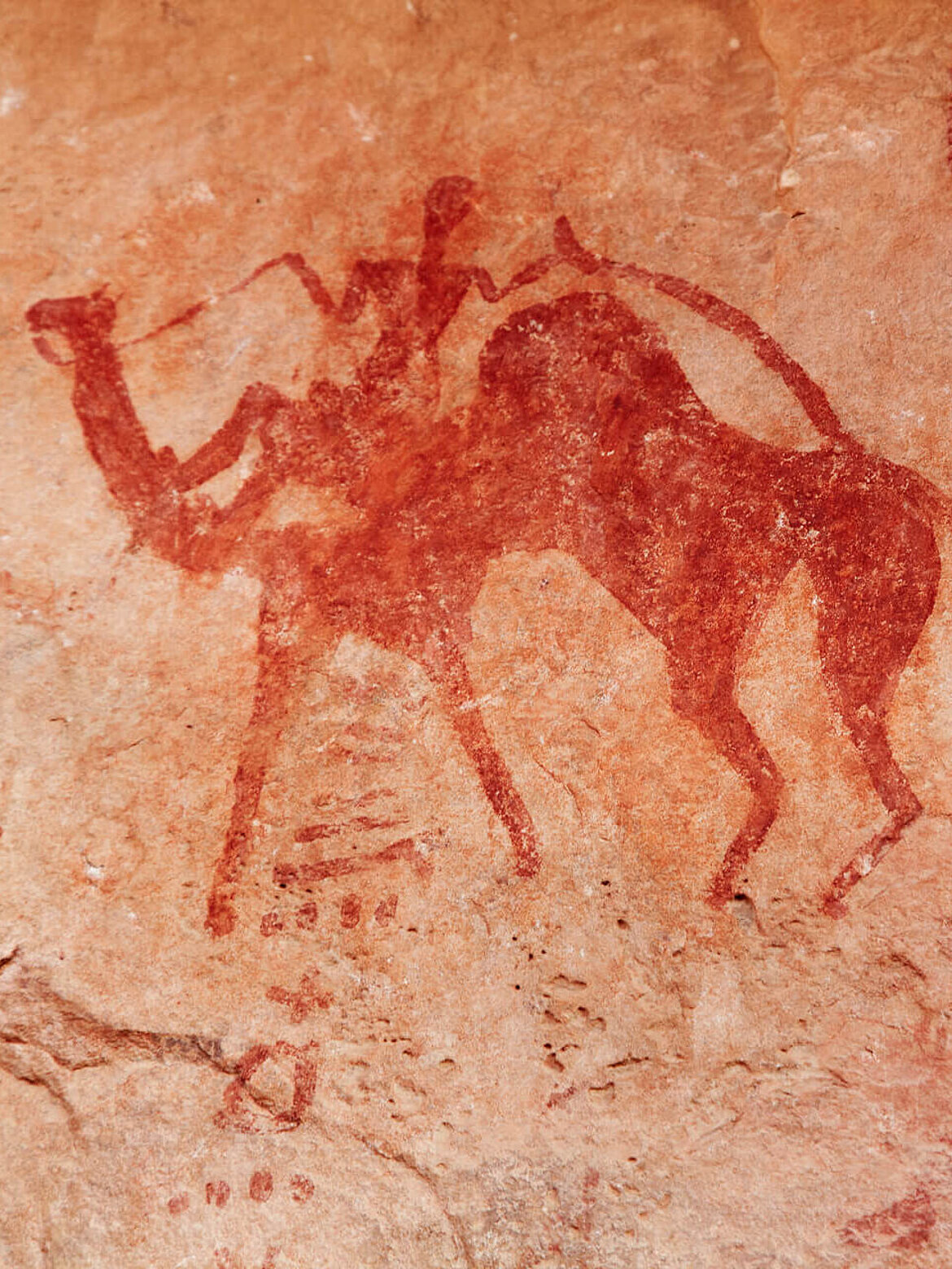 Stable isotope analysis in archaeology