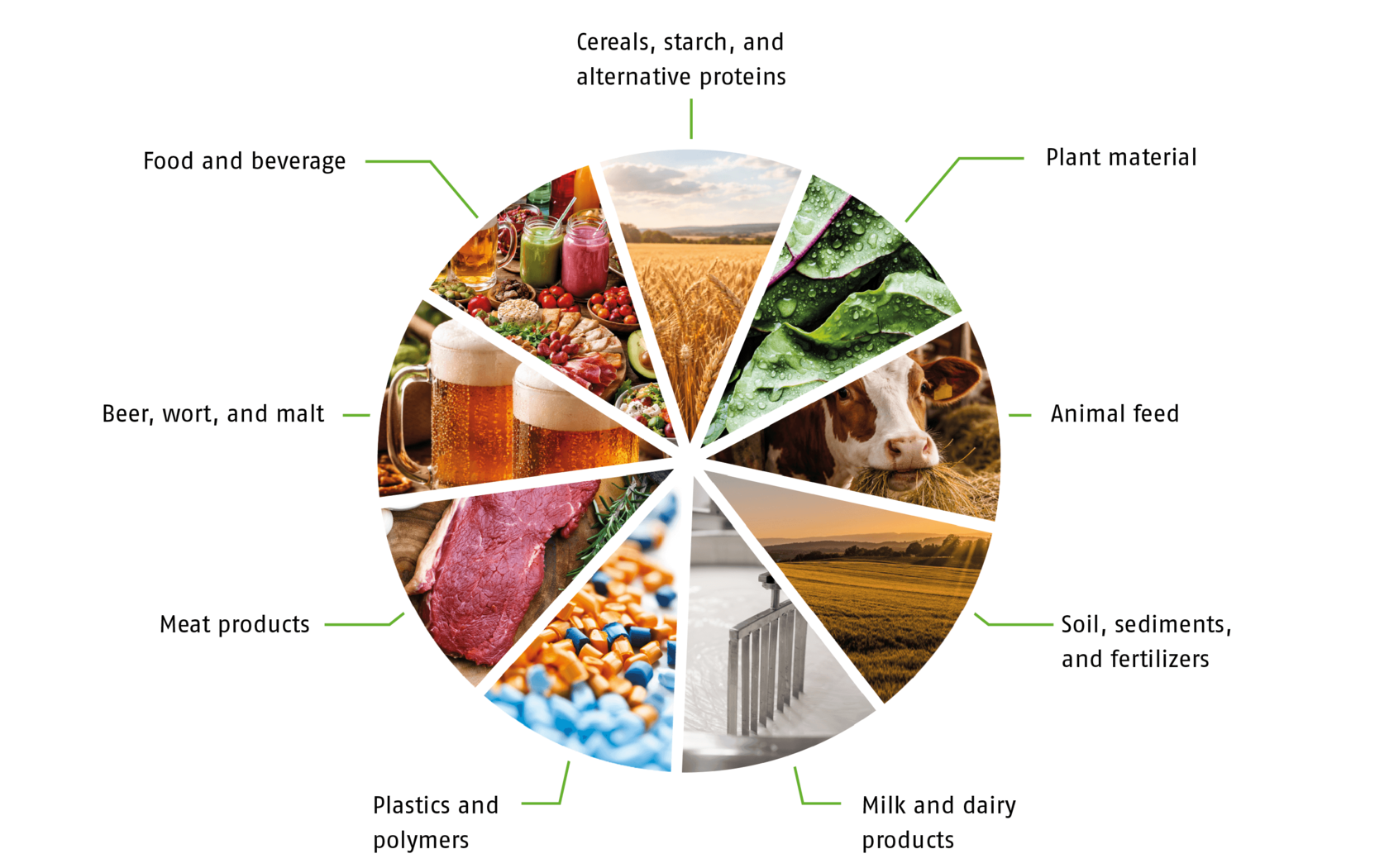 Typical sample types that can be analyzed with the analyzers of the exceed PLUS series