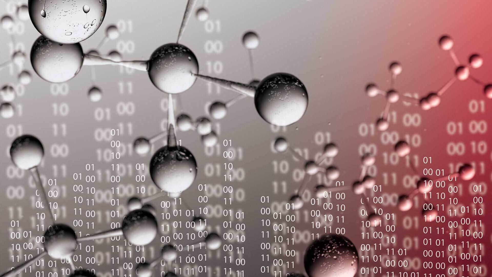 ionOS IRMS software