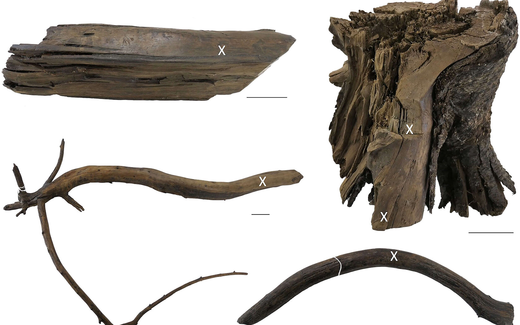 Wood items studied