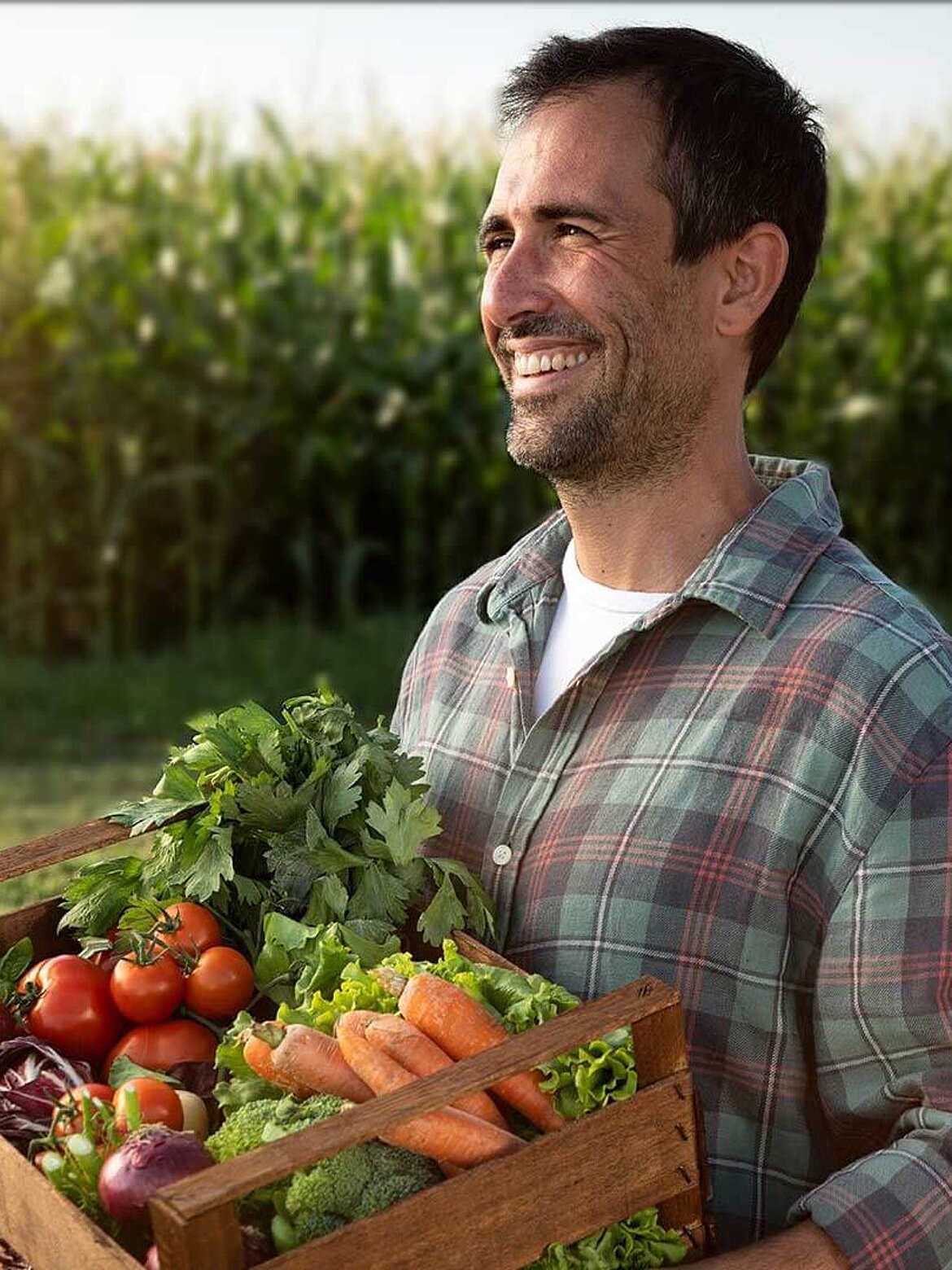 Farmer with organic vegetables in the field
