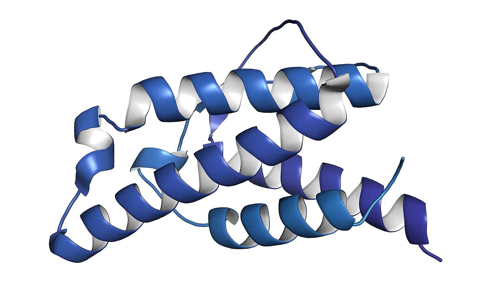 Protein structure example