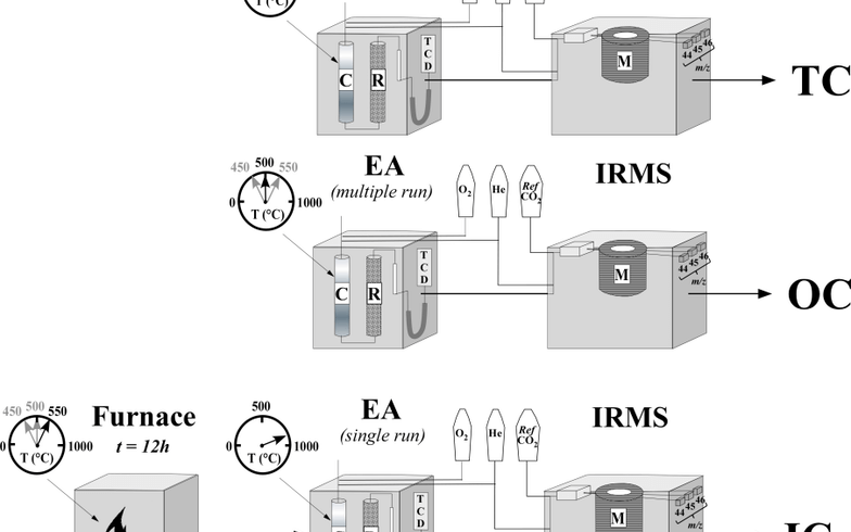 EA-IRMS による炭素測定の図