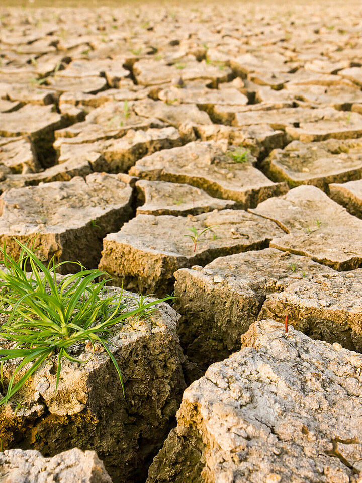 Climate research soil