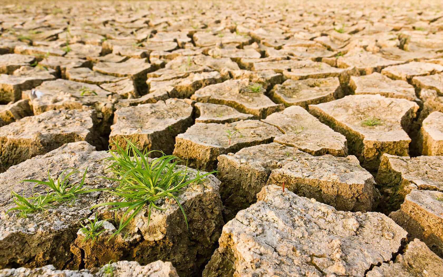 Climate research soil Climate research soil