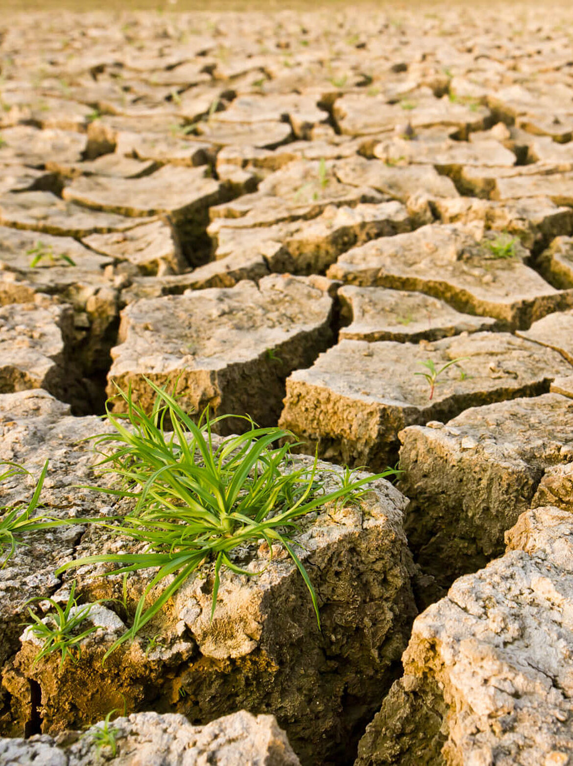 Klimaforschung Boden