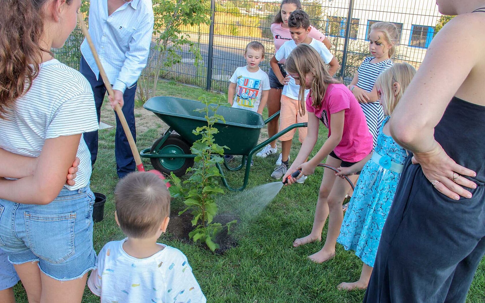 ヘイゼルの苗を植える子供たち