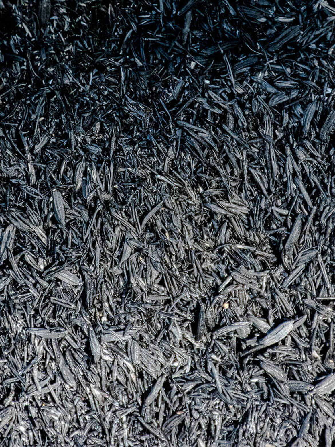 Biochar