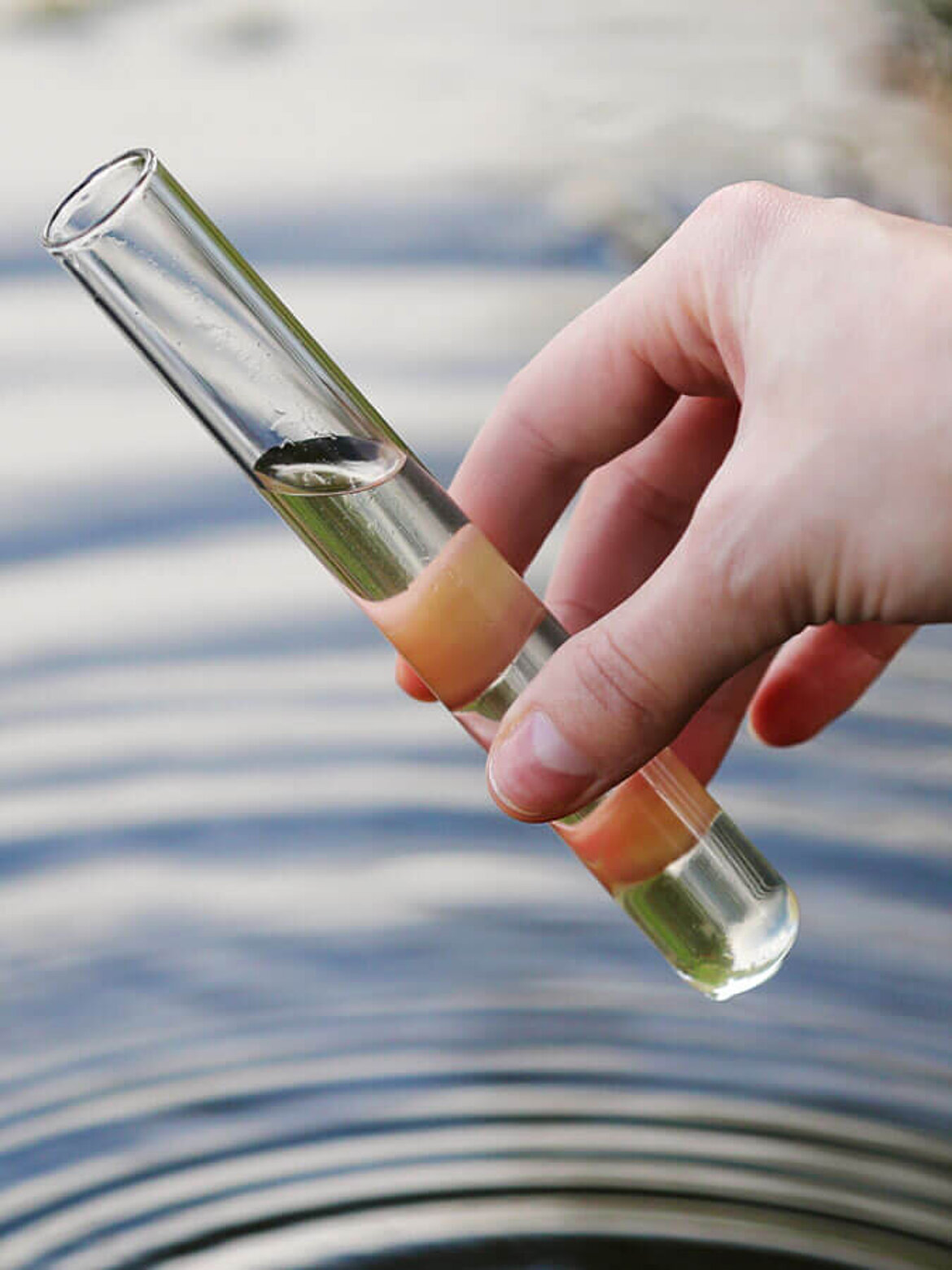 Untersuchung der Wasserqualität