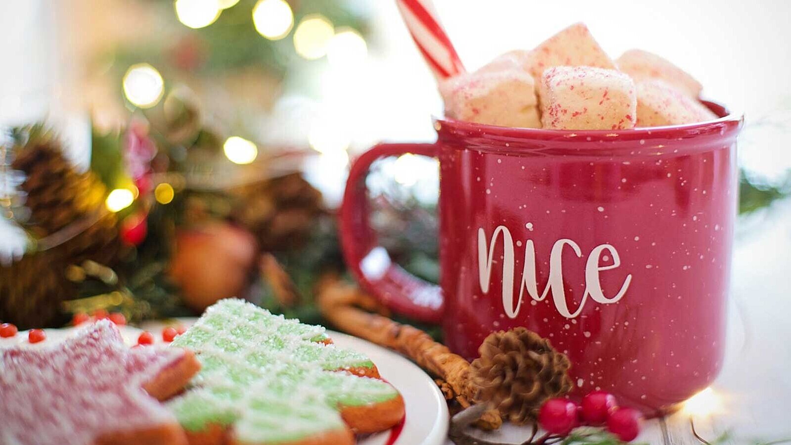 Christmas decoration, cookies and hot chocolate