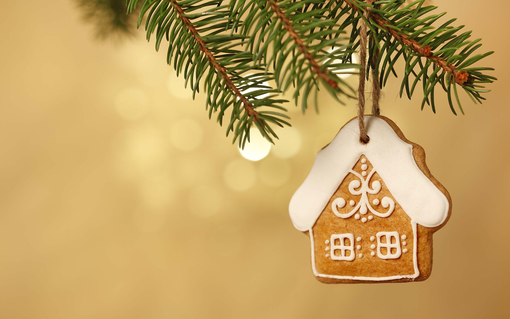 Gingerbread house