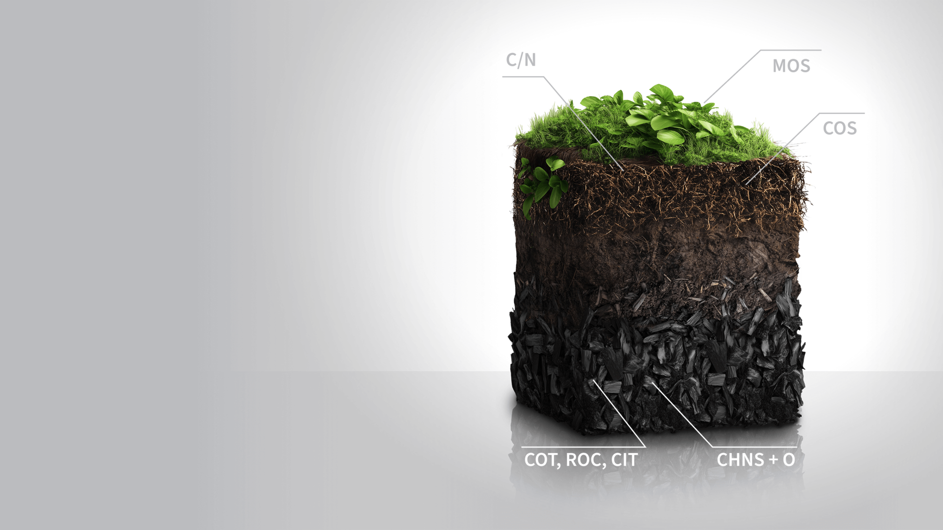 A soil profile with biochar layer