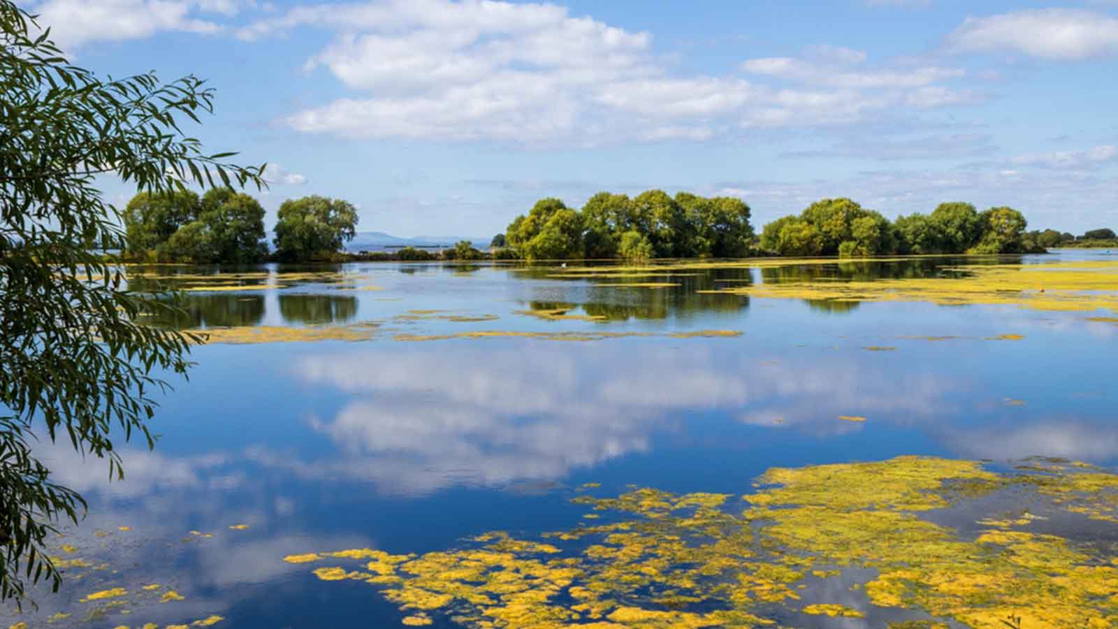 Lake Lough Neagh