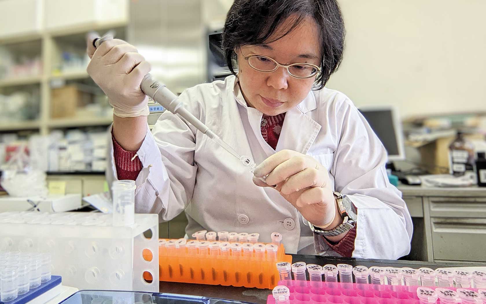 Dr. Yaeko Suzuki pipetting samples