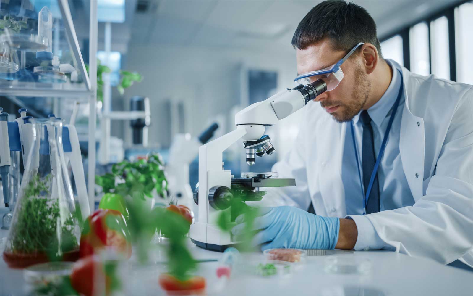 Food chemist in the laboratory