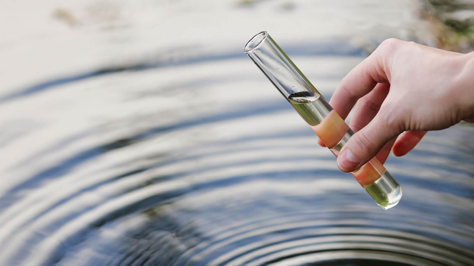 Water quality testing